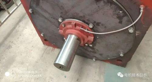 電機產品軸承系統(tǒng)中,固定端與自由端的選擇原則是什么