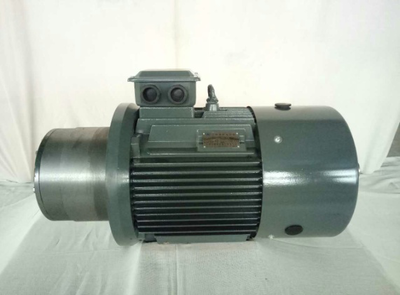 楚淮 三相異步電動機(jī)剎車電機(jī)